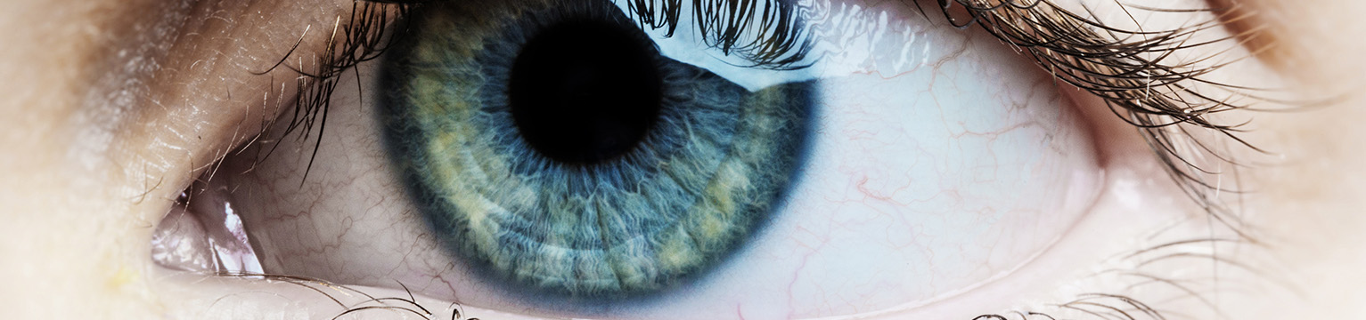 Closeup of an eye