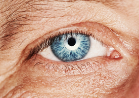 Closeup of an older person's eye